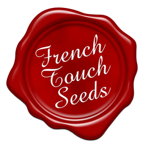 french-touch-500x5007