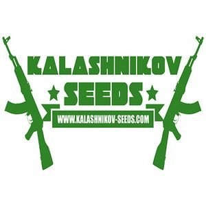 kalashnikov-seeds_download_cat_thumb_cdc6763e-d7b6-41ed-8357-11f59cdd6127_1024x102414
