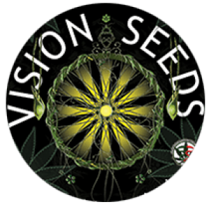 vision_seeds__logo4
