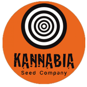800x600-a2c9-kannabia-seeds-logo