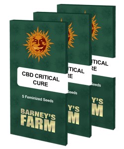 cbd-critical-cure_packet_large_seeds