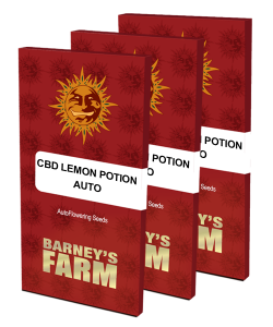 cbd-lemon-potion-auto_packet_large_seeds