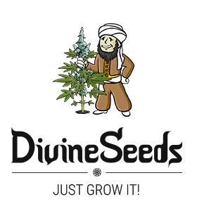 divine-seeds-logo-v.b-280x30011