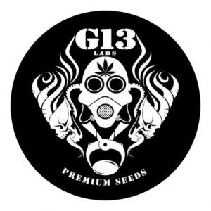g13-labs-512x512
