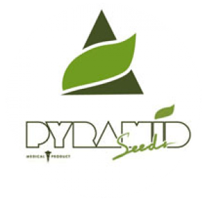 pyramid_seeds_logo
