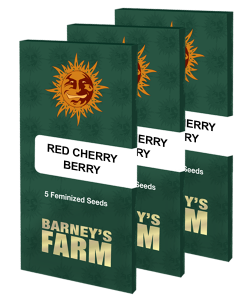 red-cherry-berry_packet_large_seeds