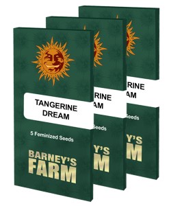 tangerine-dream_packet_large_seeds